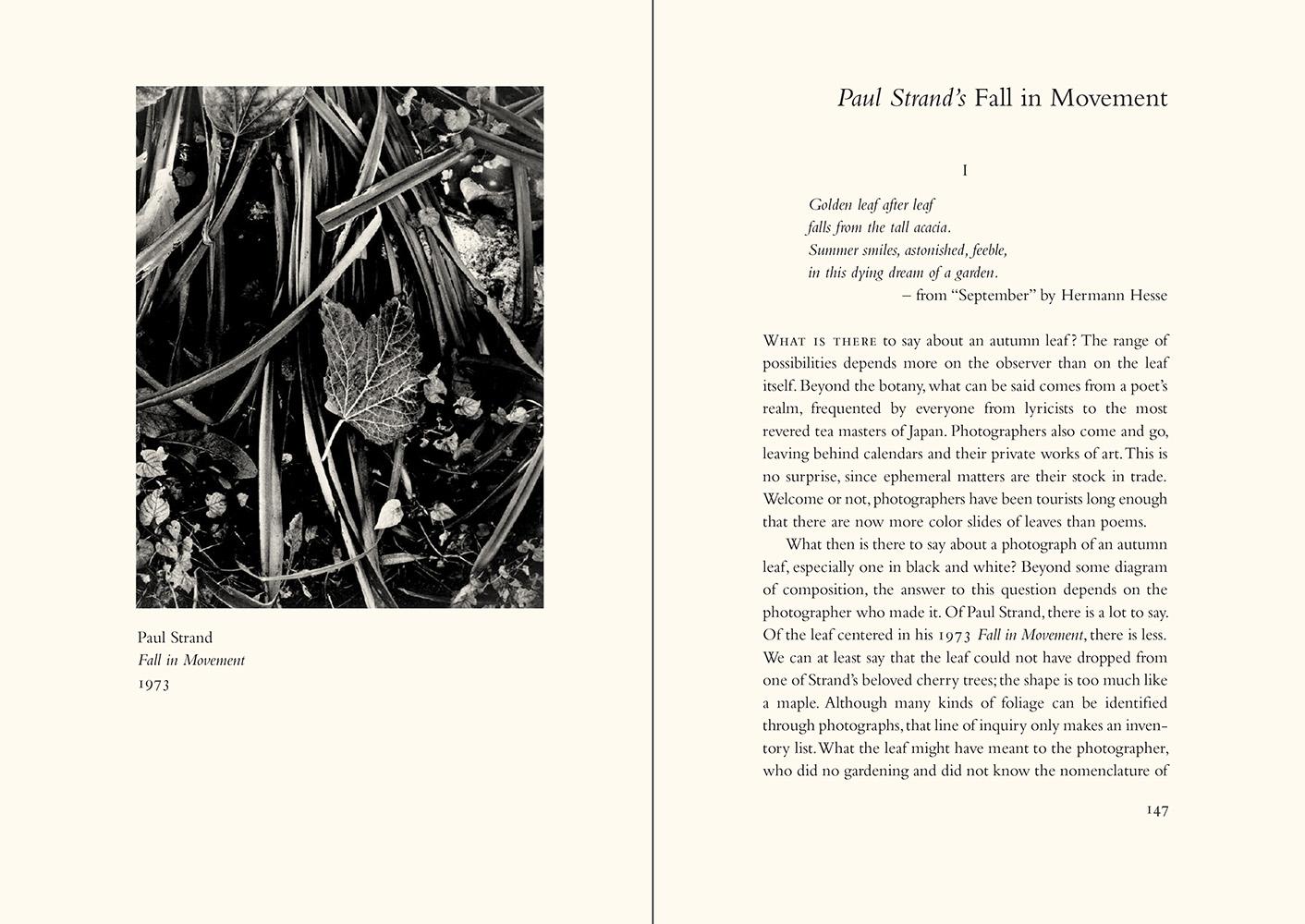 At the Edge of the Light At the Edge of the Light by David Travis: Chapter opening